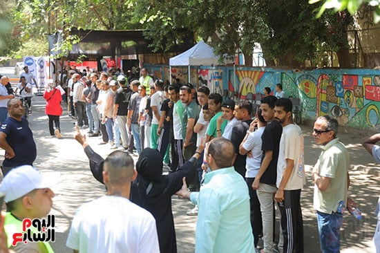 انتخابات الشيوخ (8)