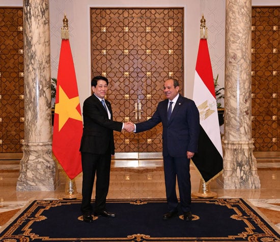 لقاء الرئيس عبد الفتاح السيسى ورئيس جمهورية فيتنام الاشتراكية لوونج كوونج لقاء الرئيس عبد الفتاح السيسى ورئيس جمهورية فيتنام الاشتراكية لوونج كوونج