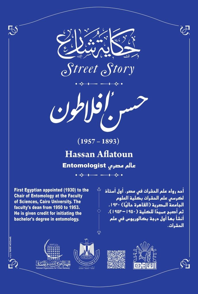 مشروع حكاية شارع