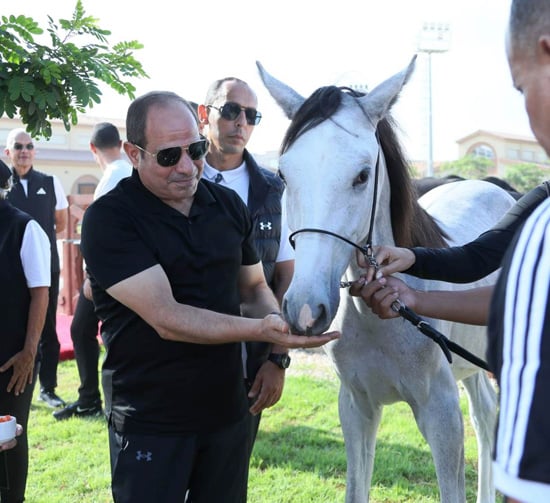جولة الرئيس السيسي بالكلية الحربية (3)