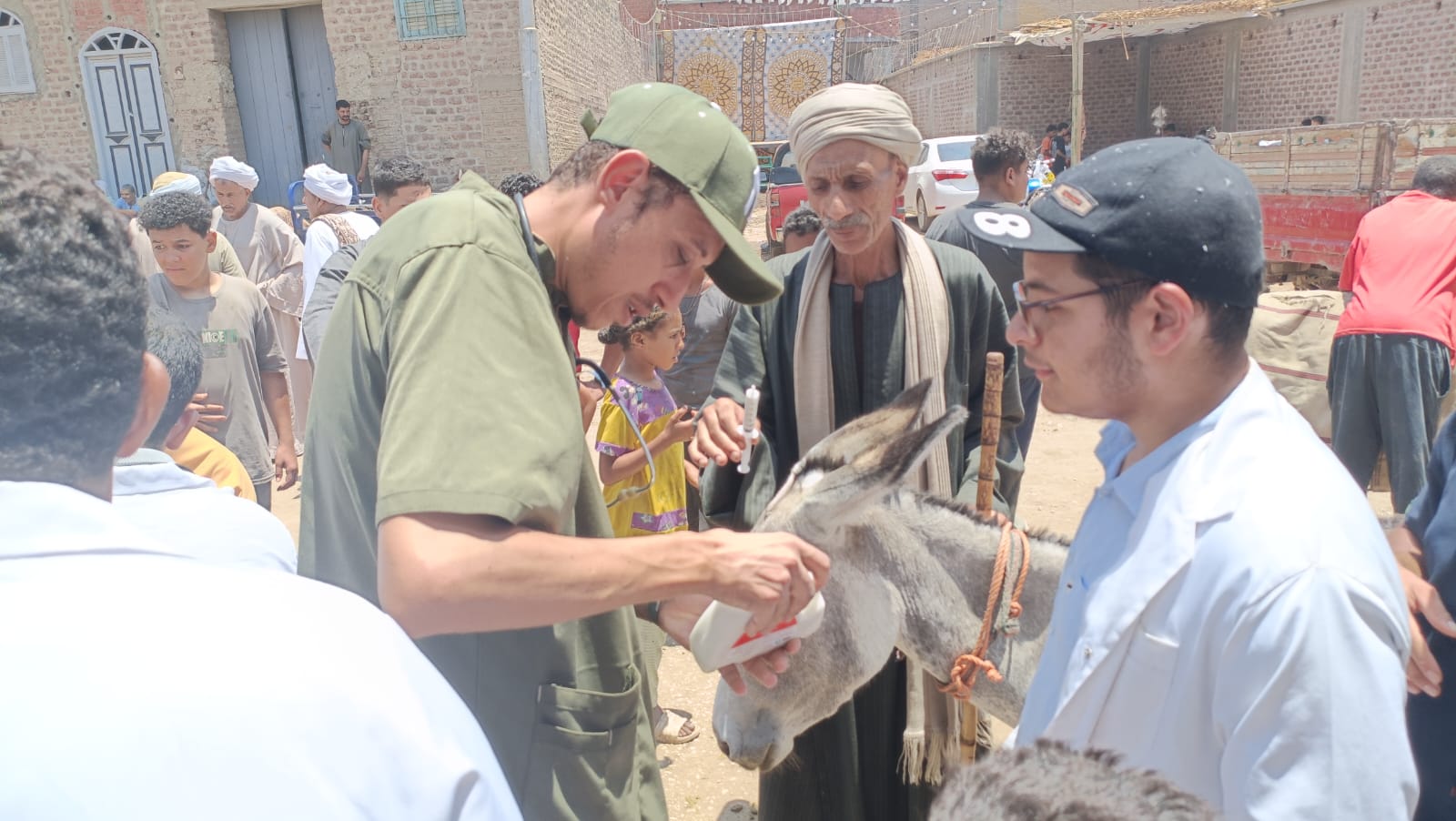 حيوان يحصل على العلاج حيوان يحصل على العلاج