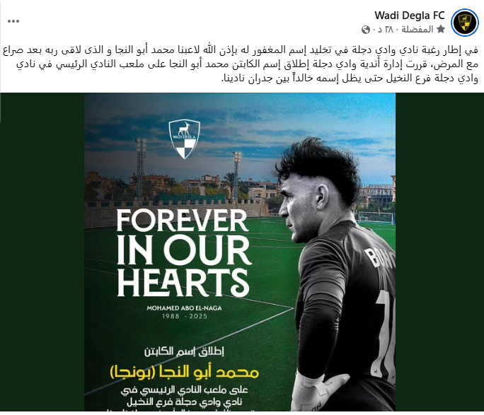 وادى دجلة