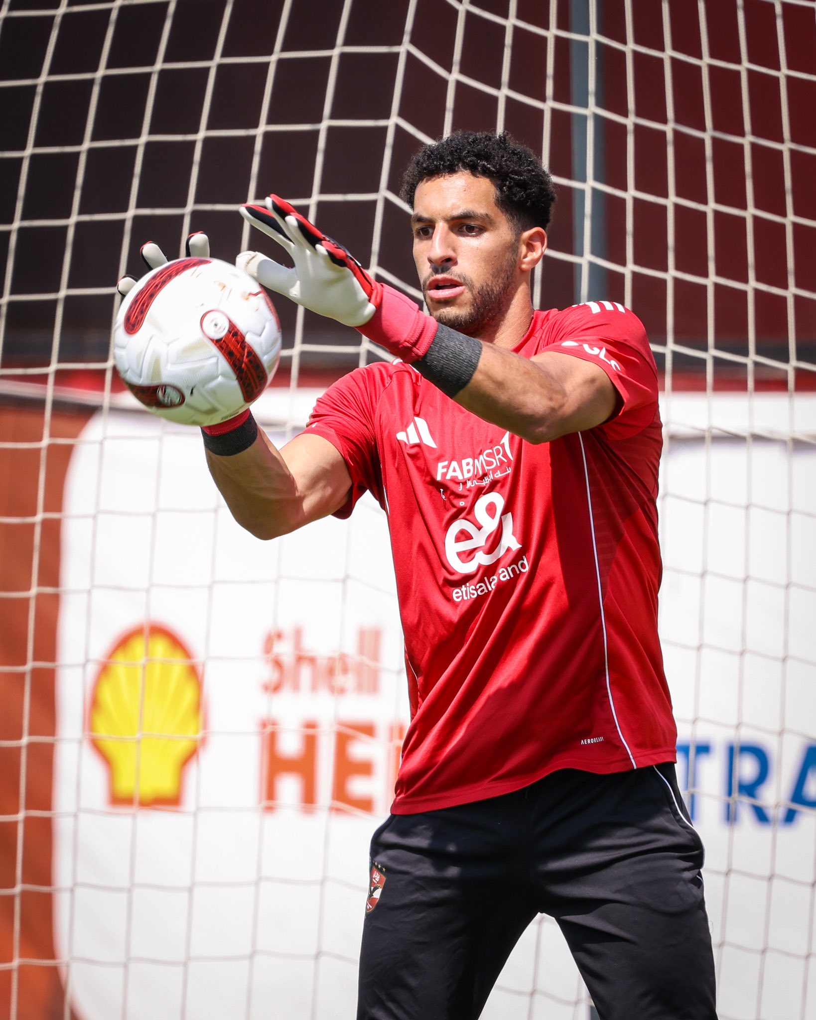 مصطفى شوبير