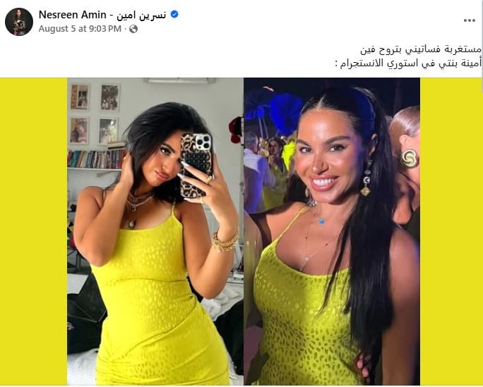 نسرين أمين