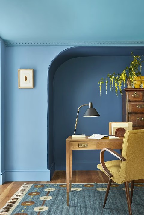 اللون الواحد اللون الواحد