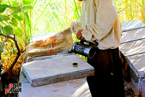 عملية التبخير