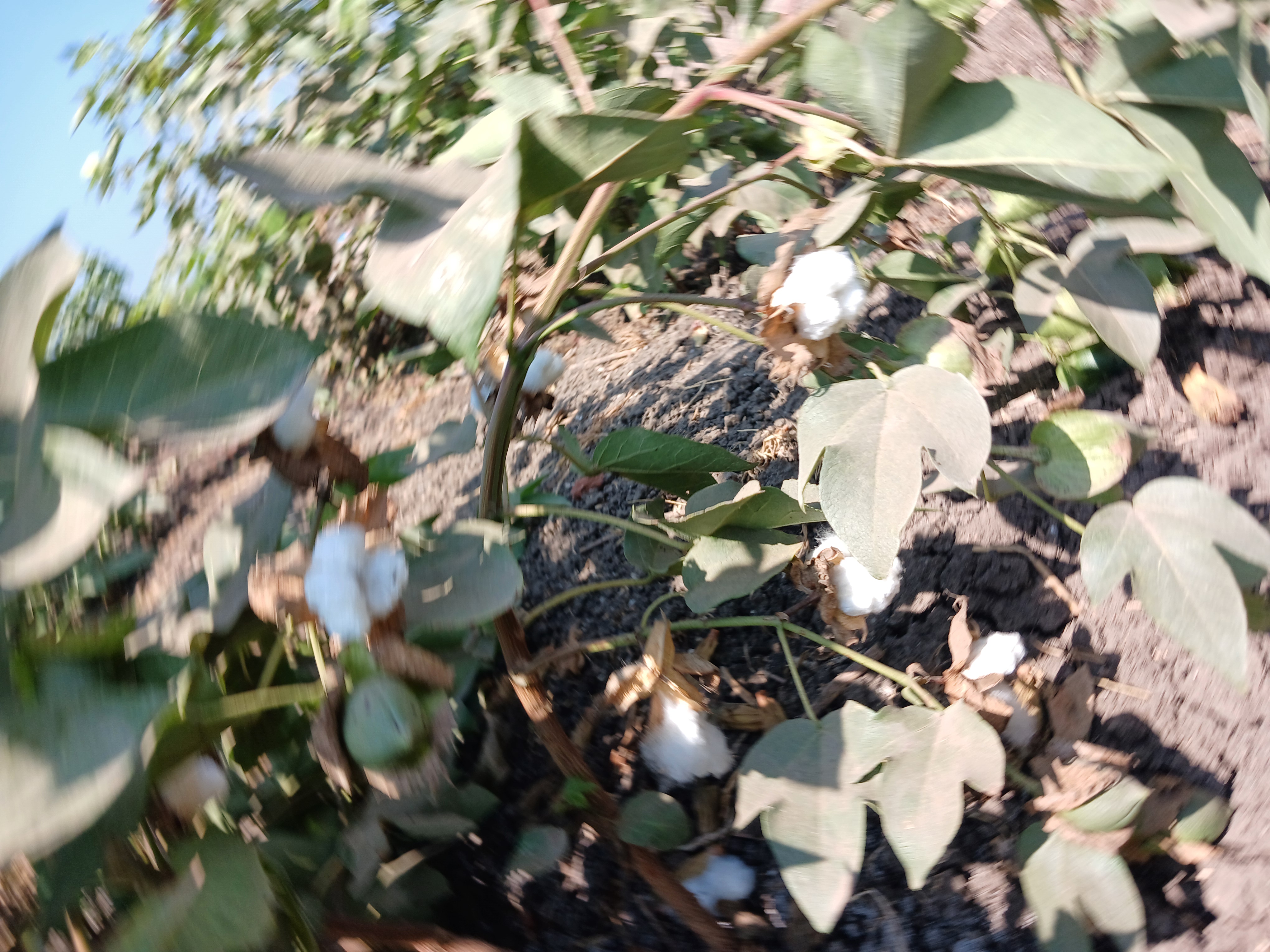 ٢٠٢٥٠٨٠٩_١٠٤٨٢١ ٢٠٢٥٠٨٠٩_١٠٤٨٢١