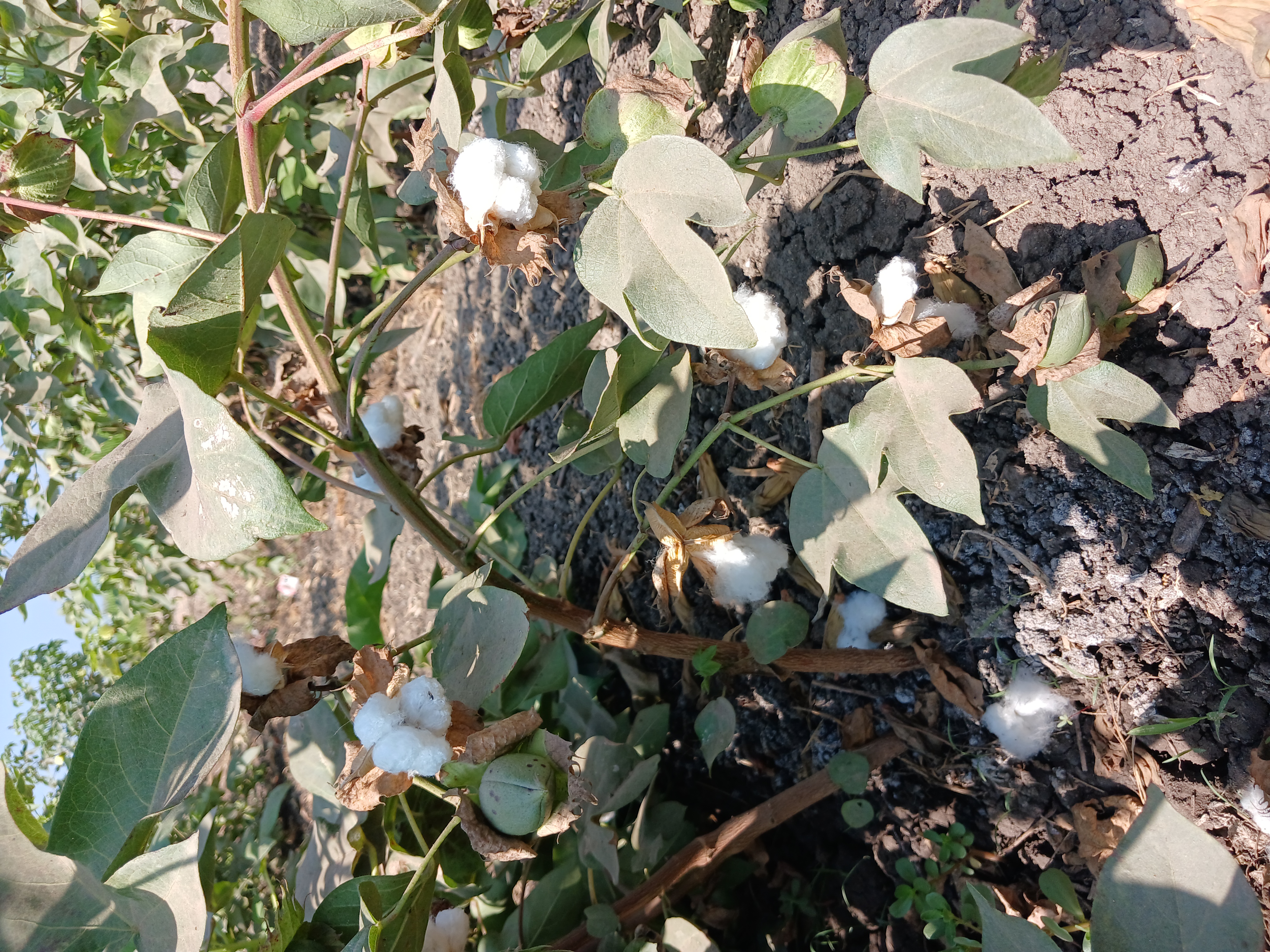 ٢٠٢٥٠٨٠٩_١٠٤٨٢٣ ٢٠٢٥٠٨٠٩_١٠٤٨٢٣