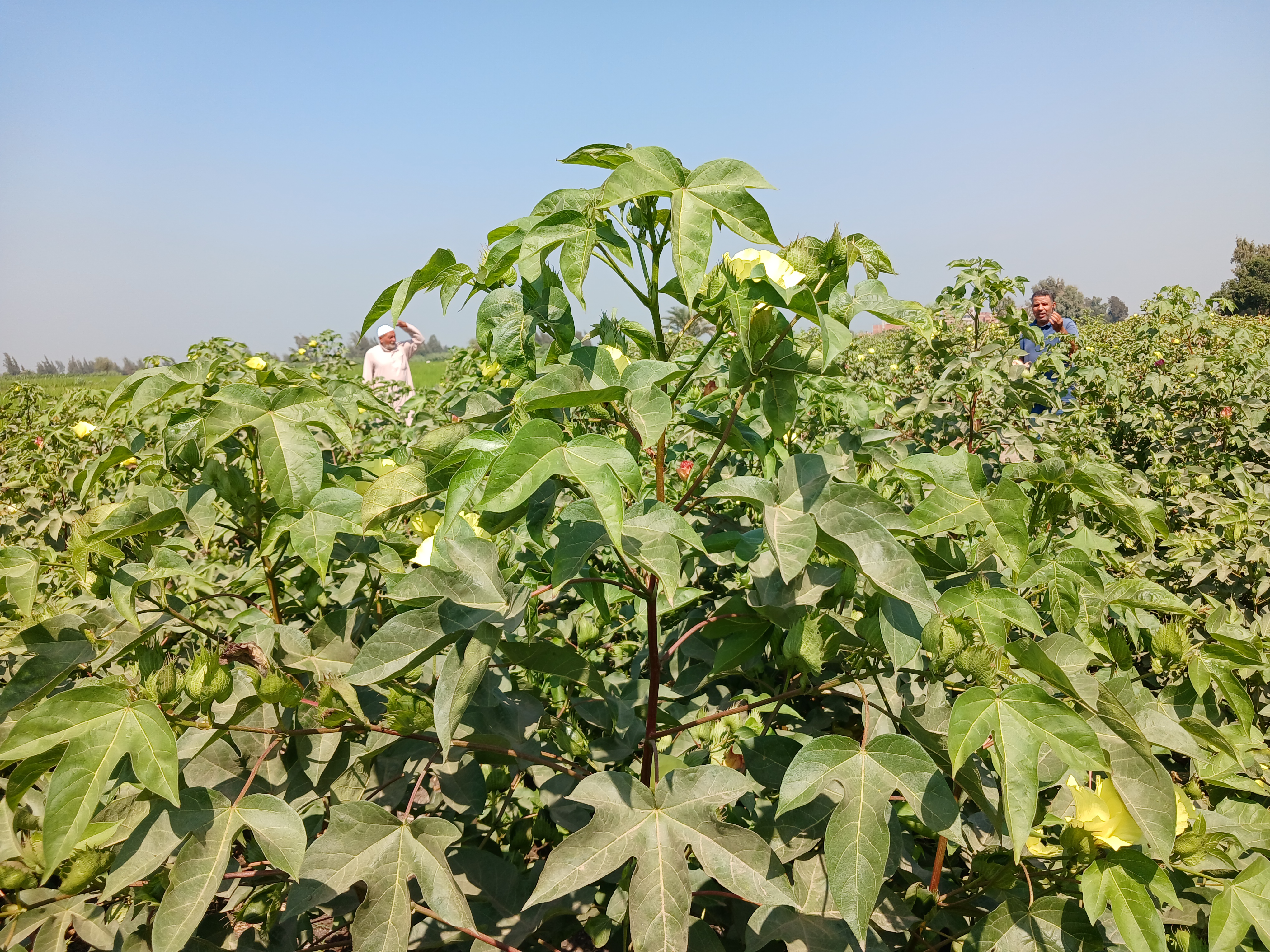 ٢٠٢٥٠٨٠٩_١٠٣٢٥٧ ٢٠٢٥٠٨٠٩_١٠٣٢٥٧