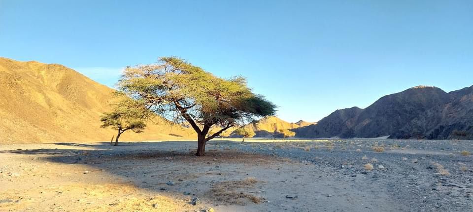 طبيعة وادى حلوس 