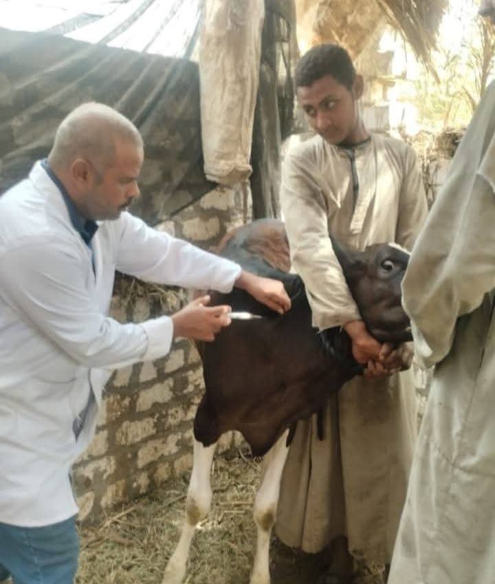 جانب من تحصين الماشية حول القرى والنجوع جانب من تحصين الماشية حول القرى والنجوع