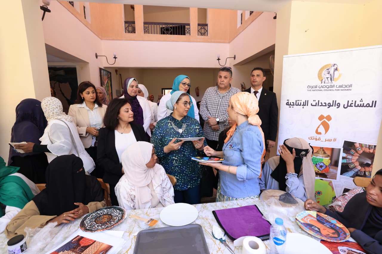 أنشطة المجلس