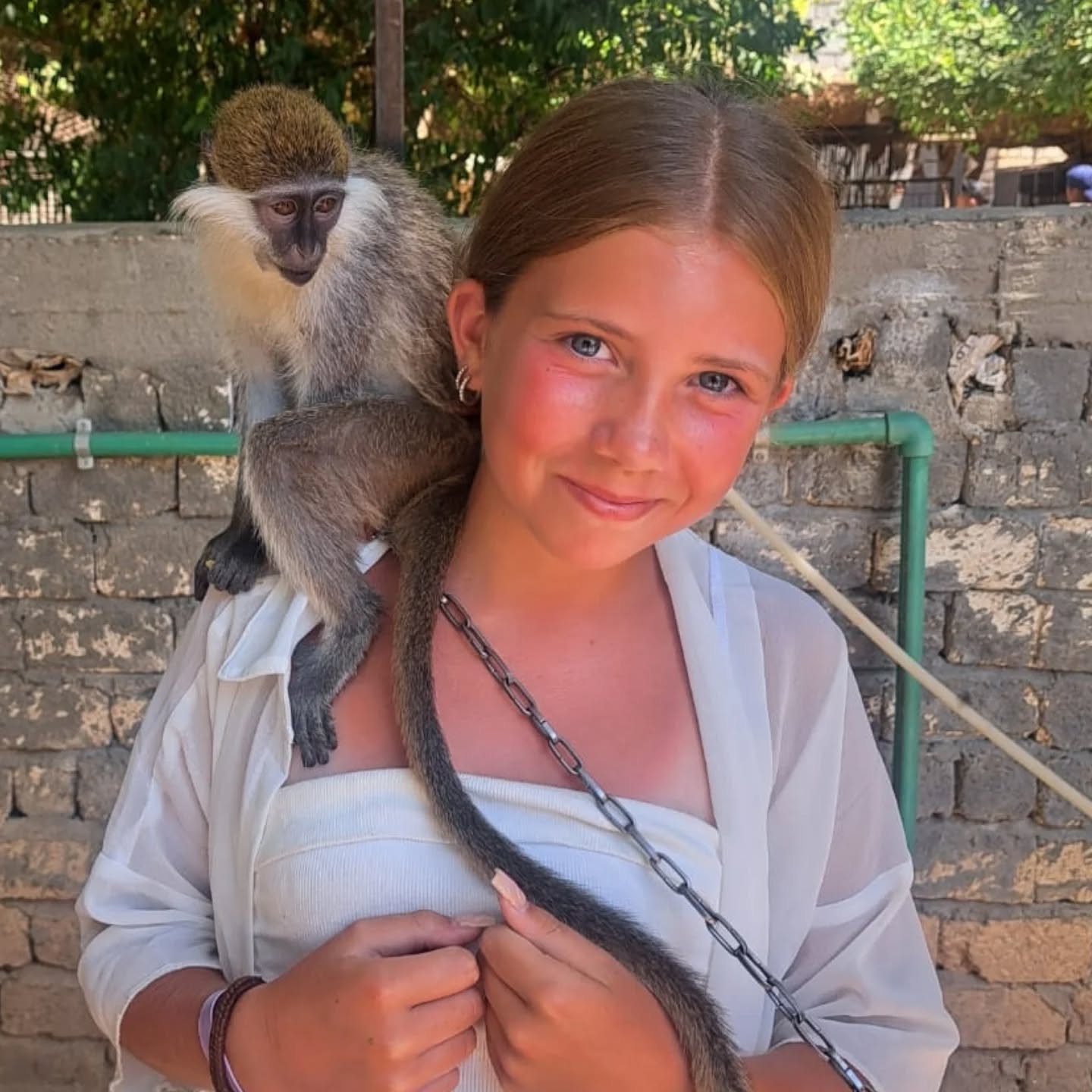 طفلة أجنبية تستمتع مع القرود بجزيرة الموز