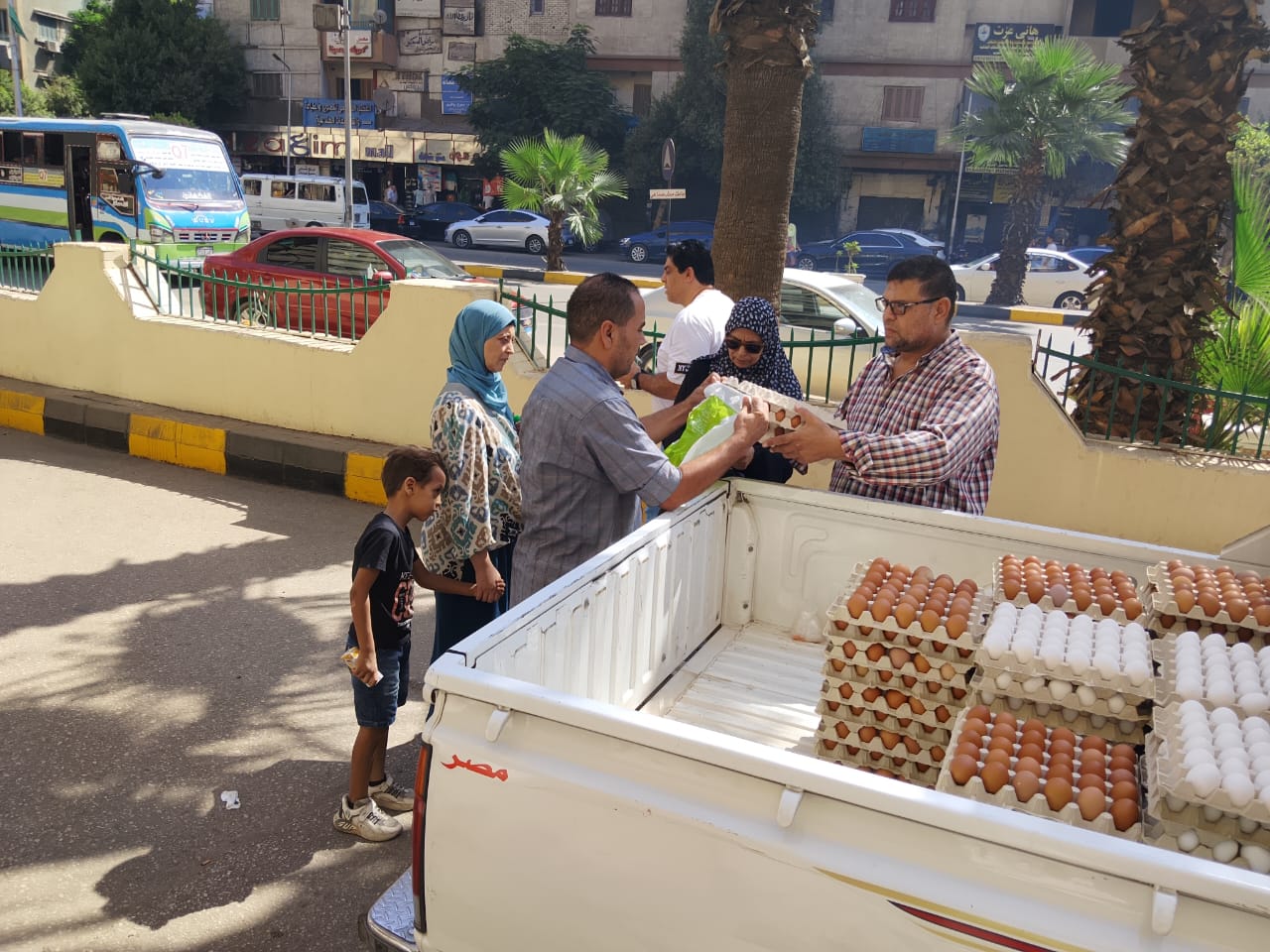 "الزراعة" تطلق 6 منافذ متنقلة لبيع بيض المائدة