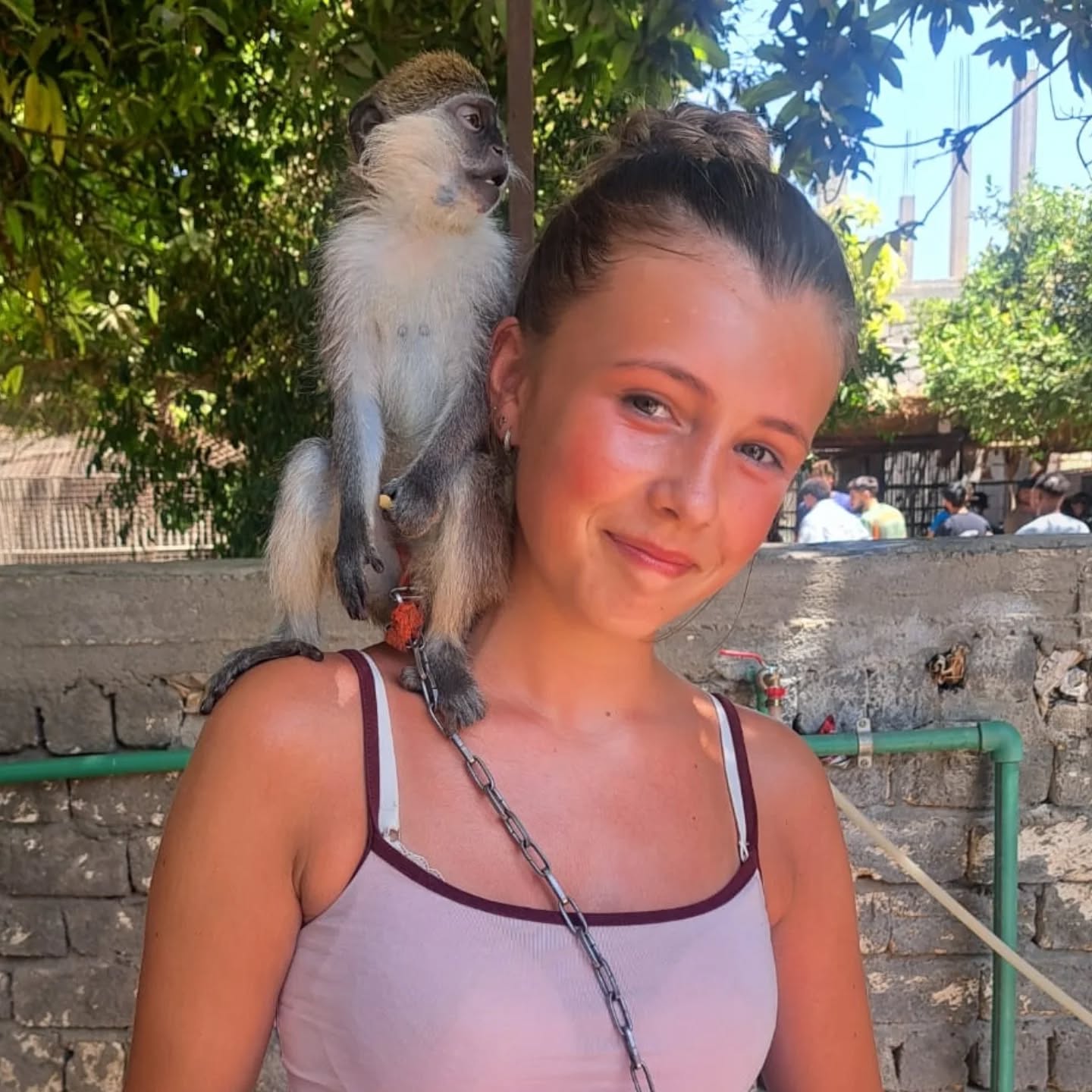 سعادة طفلة أجنبية مع القرود بجزيرة الموز