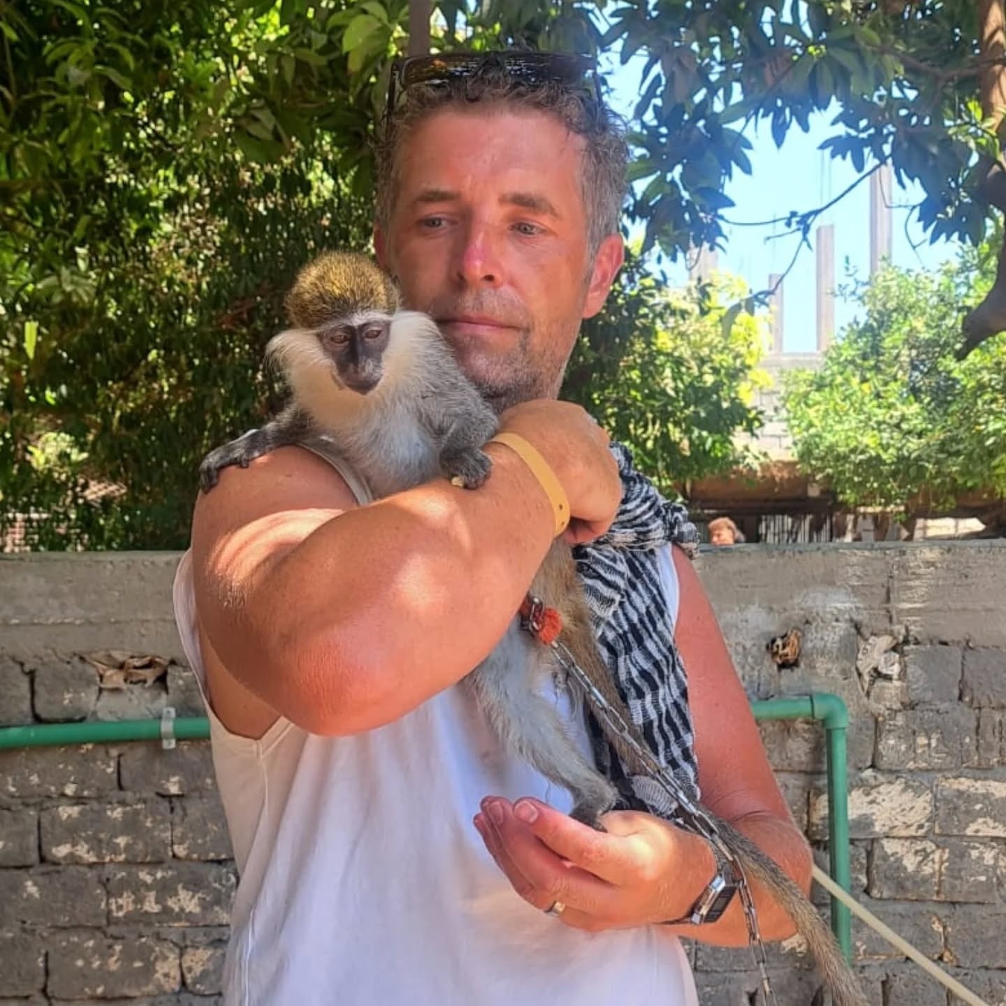 استمتاع الأجانب مع القرود فى جزيرة الموز