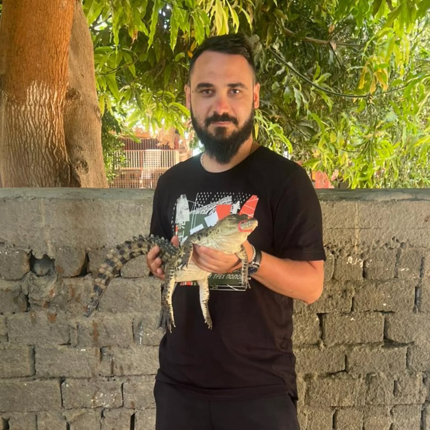 أجنبي يستمتع مع التماسيح فى جزيرة الموز غرب الأقصر