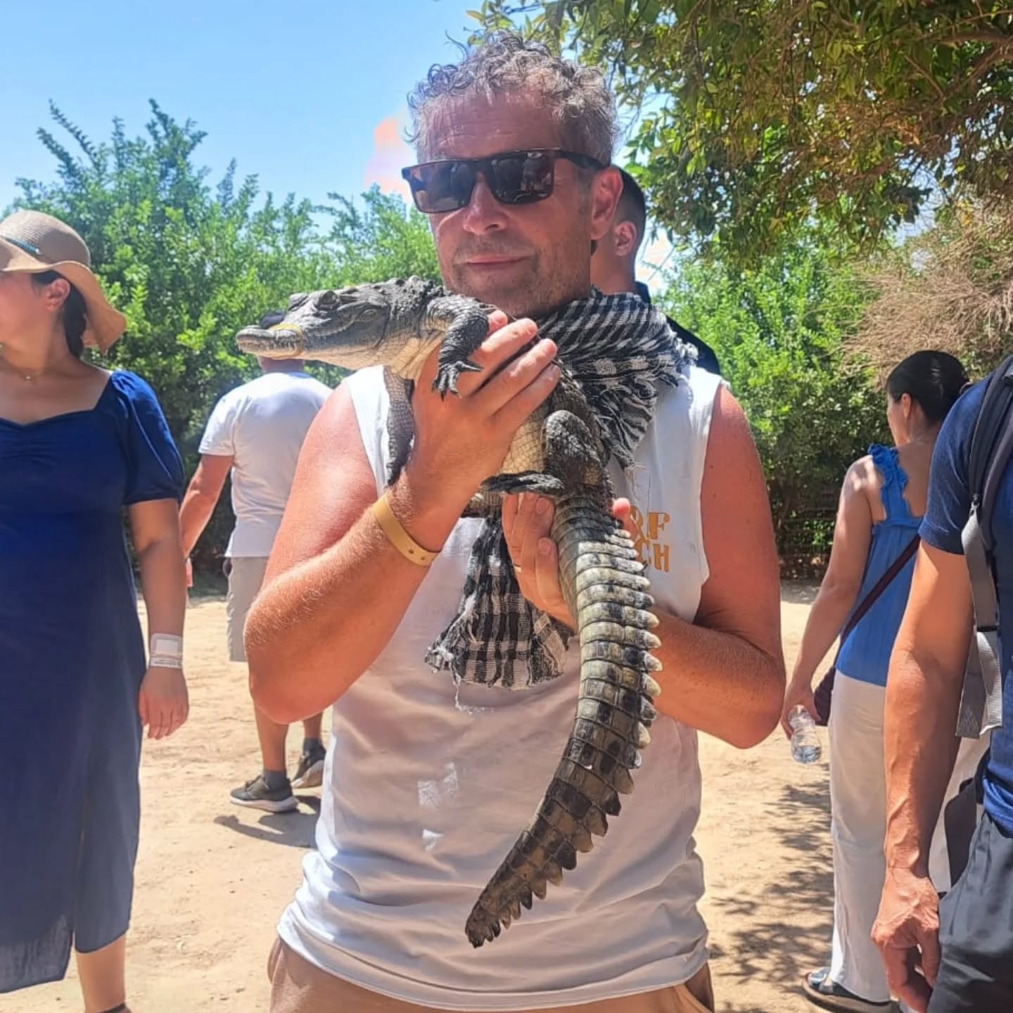 أجنبي يلتقط صور تذكارية مع تمساح بجزيرة الموز