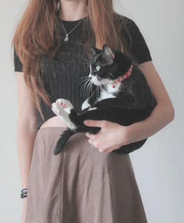 صفات إيجابية لانثى العذراء