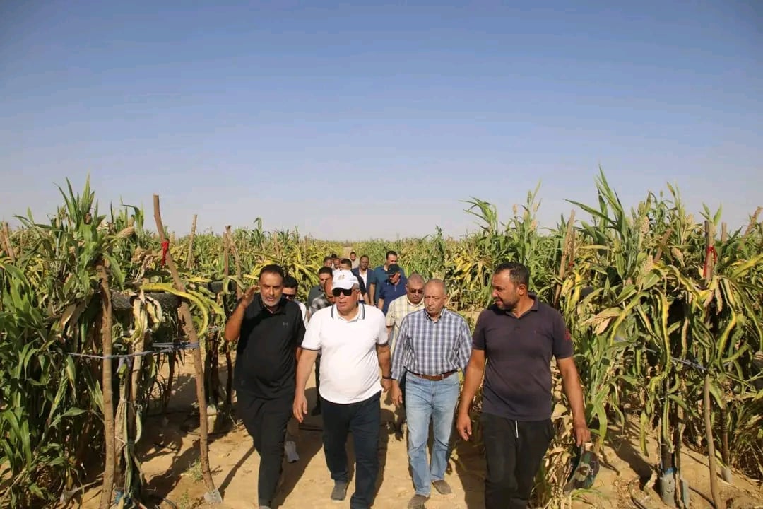 داخل أول مزرعة لإنتاج الدراجون فروت