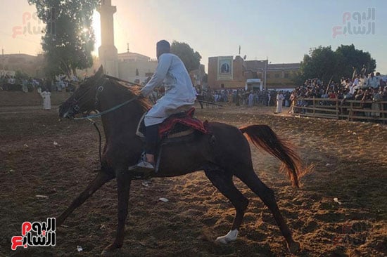 خيال-صعيدي-يبدع-بالمولد-النبوى-الشريف-بقرية-منشأة-العمارى خيال-صعيدي-يبدع-بالمولد-النبوى-الشريف-بقرية-منشأة-العمارى