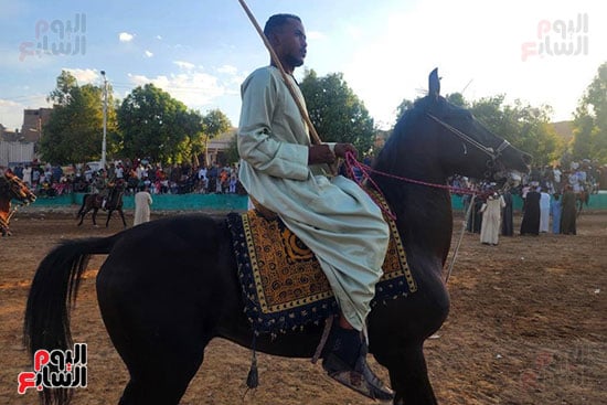 متعة-الخيالة-فى-المولد-النبوى-بمنشأة-العمارى متعة-الخيالة-فى-المولد-النبوى-بمنشأة-العمارى