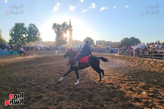 إبداعات-الخيالة-بالمولد-النبوى-الشريف-بقرية-منشأة-العمارى إبداعات-الخيالة-بالمولد-النبوى-الشريف-بقرية-منشأة-العمارى