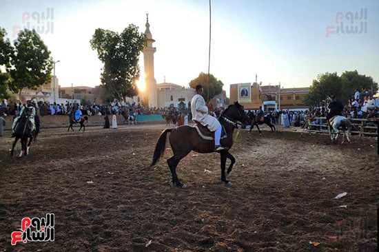 متعة-المرماح-بالمولد-النبوى-الشريف-بقرية-منشأة-العمارى متعة-المرماح-بالمولد-النبوى-الشريف-بقرية-منشأة-العمارى