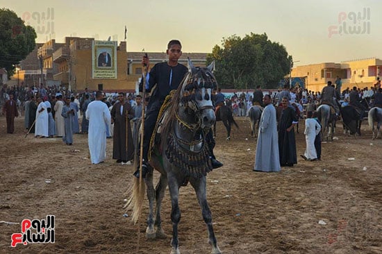 شاب-من-الخيالة-فى-المولد-النبوى-الشريف-بقرية-منشأة-العمارى