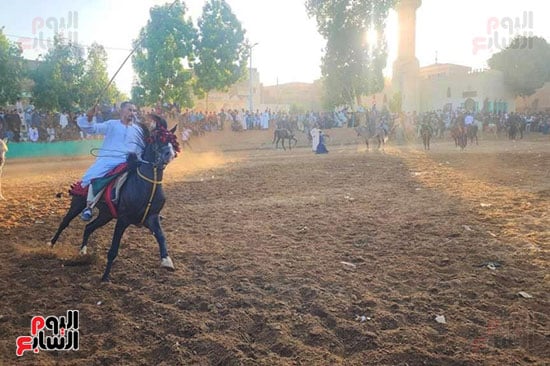 سباقات-الخيول-فى-المولد-النبوى-الشريف-بقرية-منشأة-العمارى سباقات-الخيول-فى-المولد-النبوى-الشريف-بقرية-منشأة-العمارى