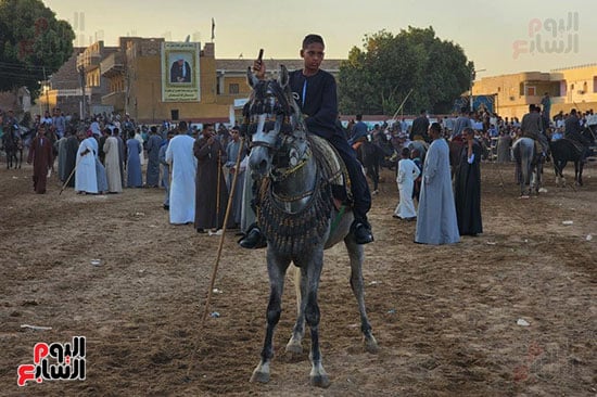 أحد-الشباب-الخيالة-خلال-فعاليات-المولد-النبوى أحد-الشباب-الخيالة-خلال-فعاليات-المولد-النبوى