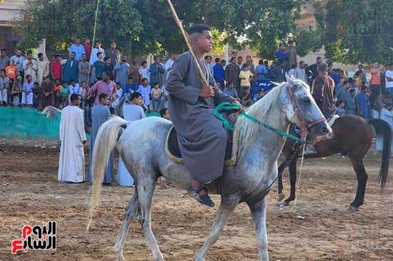 شاب-بحصانه-فى-المولد-النبوى-بمنشأة-العمارى شاب-بحصانه-فى-المولد-النبوى-بمنشأة-العمارى