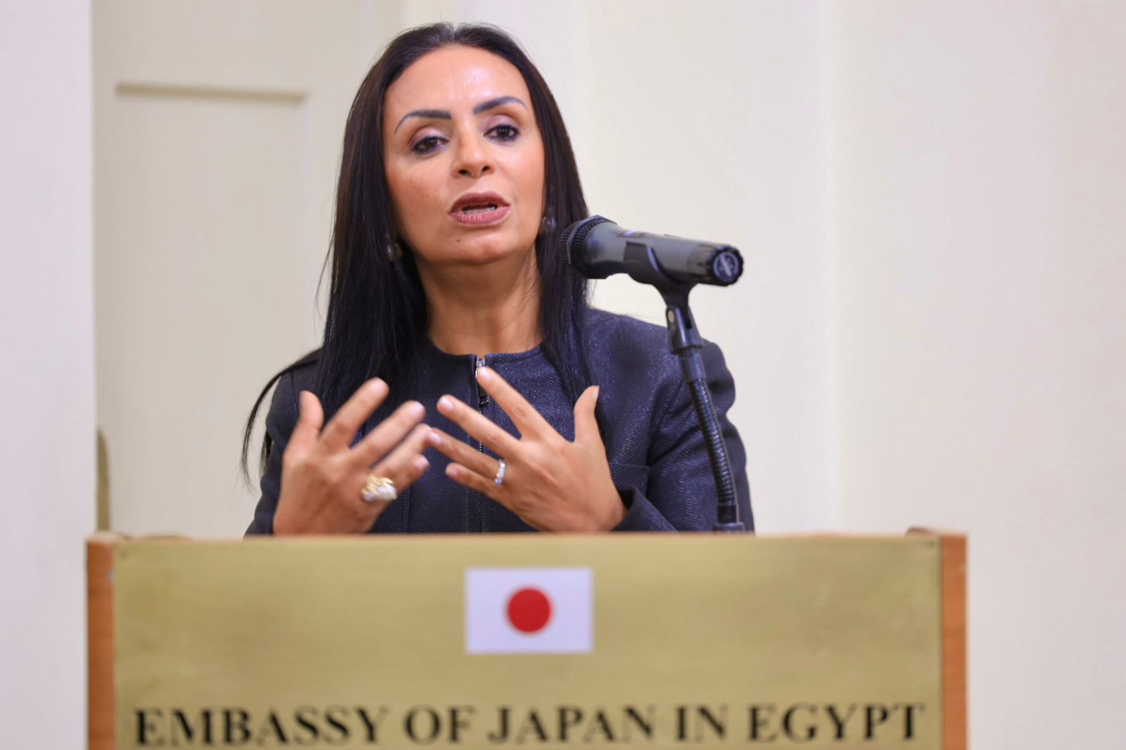 وزيرة التضامن الاجتماعى وزيرة التضامن الاجتماعى