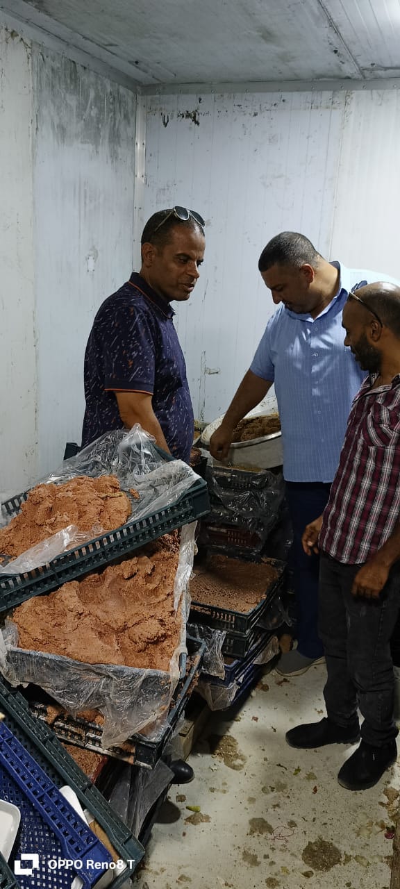 ضبط 3 أطنان برجر وسجق وعجينة كفتة فاسدة