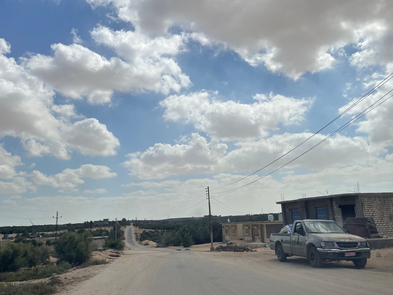 عمار ممتد عمار ممتد
