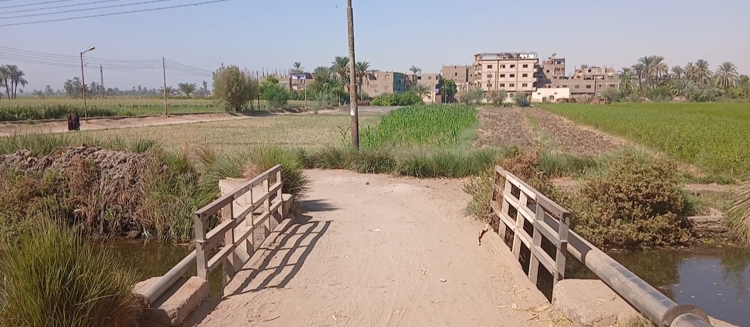 _قرية ساقية القاضي بقنا 