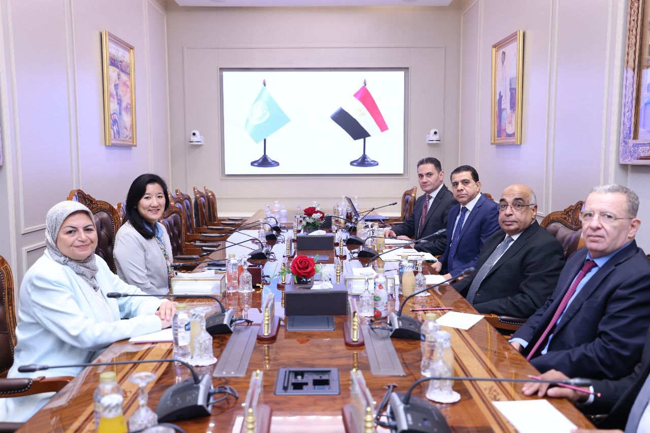 وزير العدل مع وفد برنامج الأمم المتحدة الإنمائي