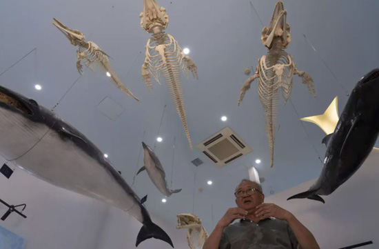  بتربية حيوانات نادرة ومهددة بالانقراض في أطول نهر في الصين (3)