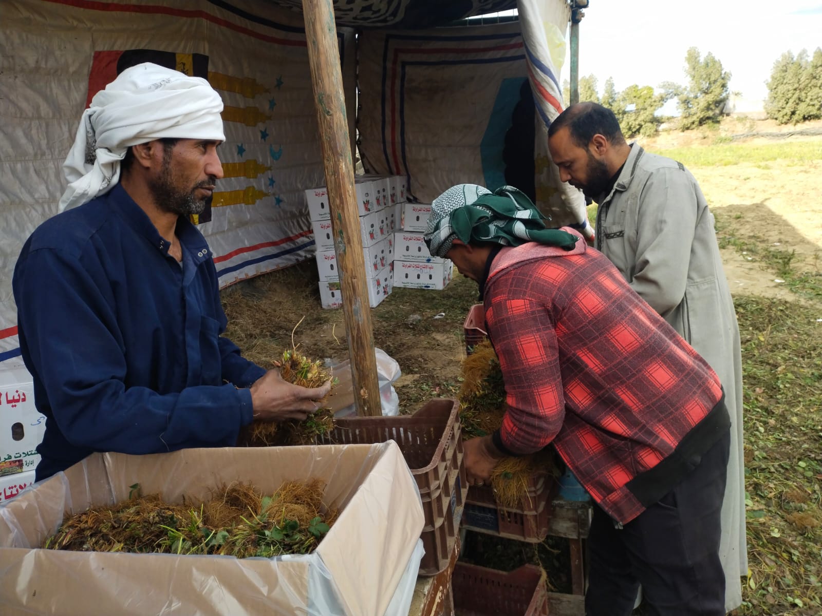 أثناء التعبئة