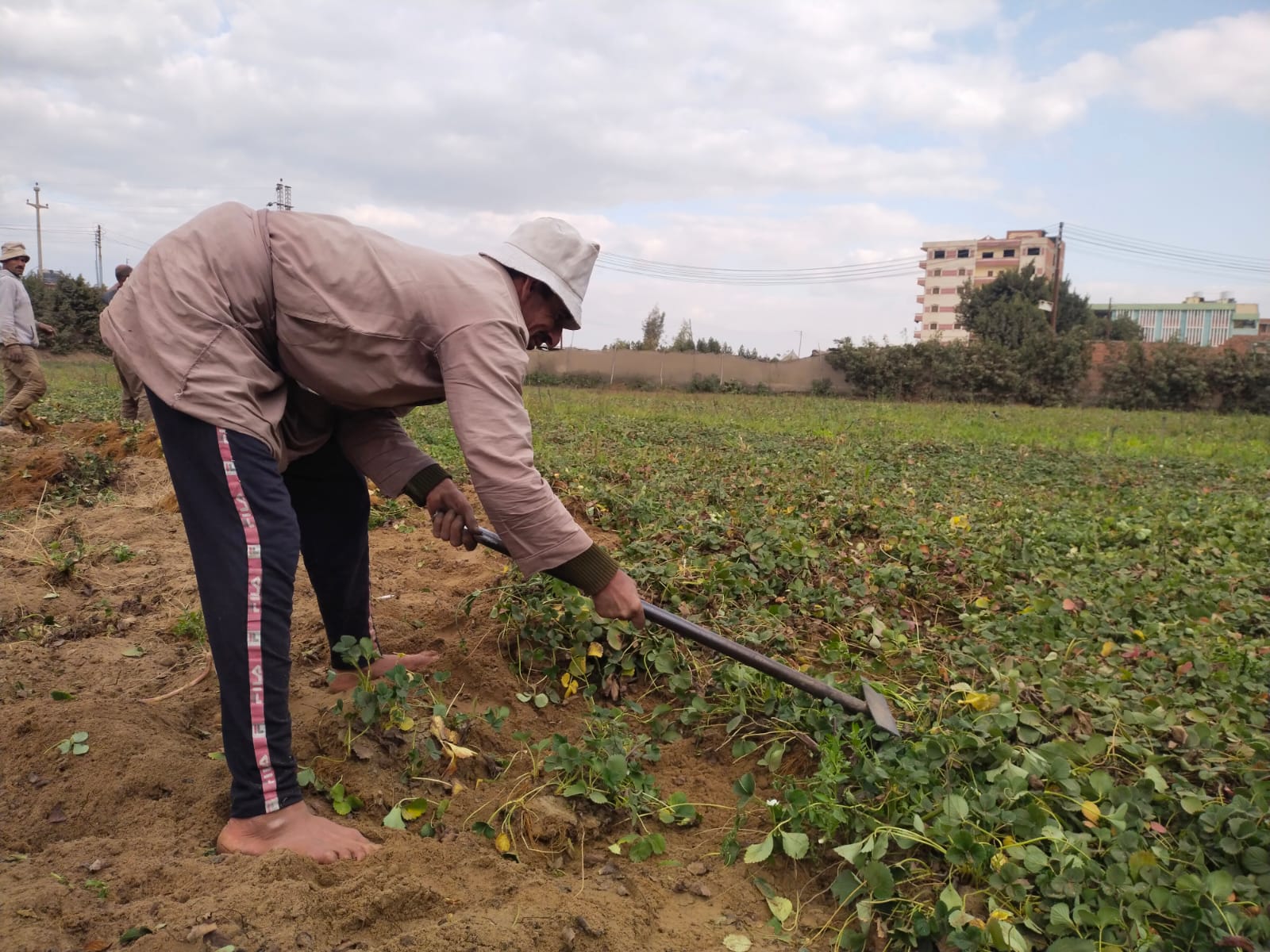 خلال عملية التقليع