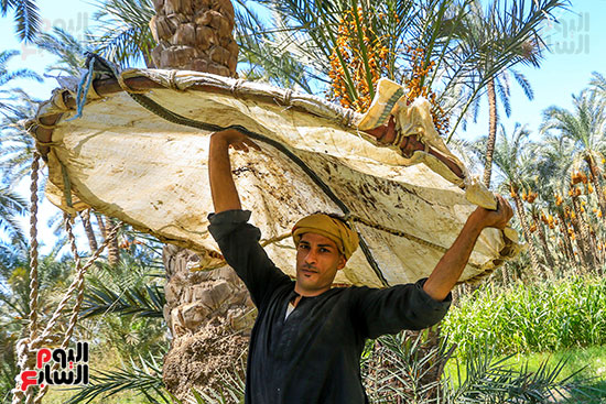 عامل ينقل طبق التقطيع