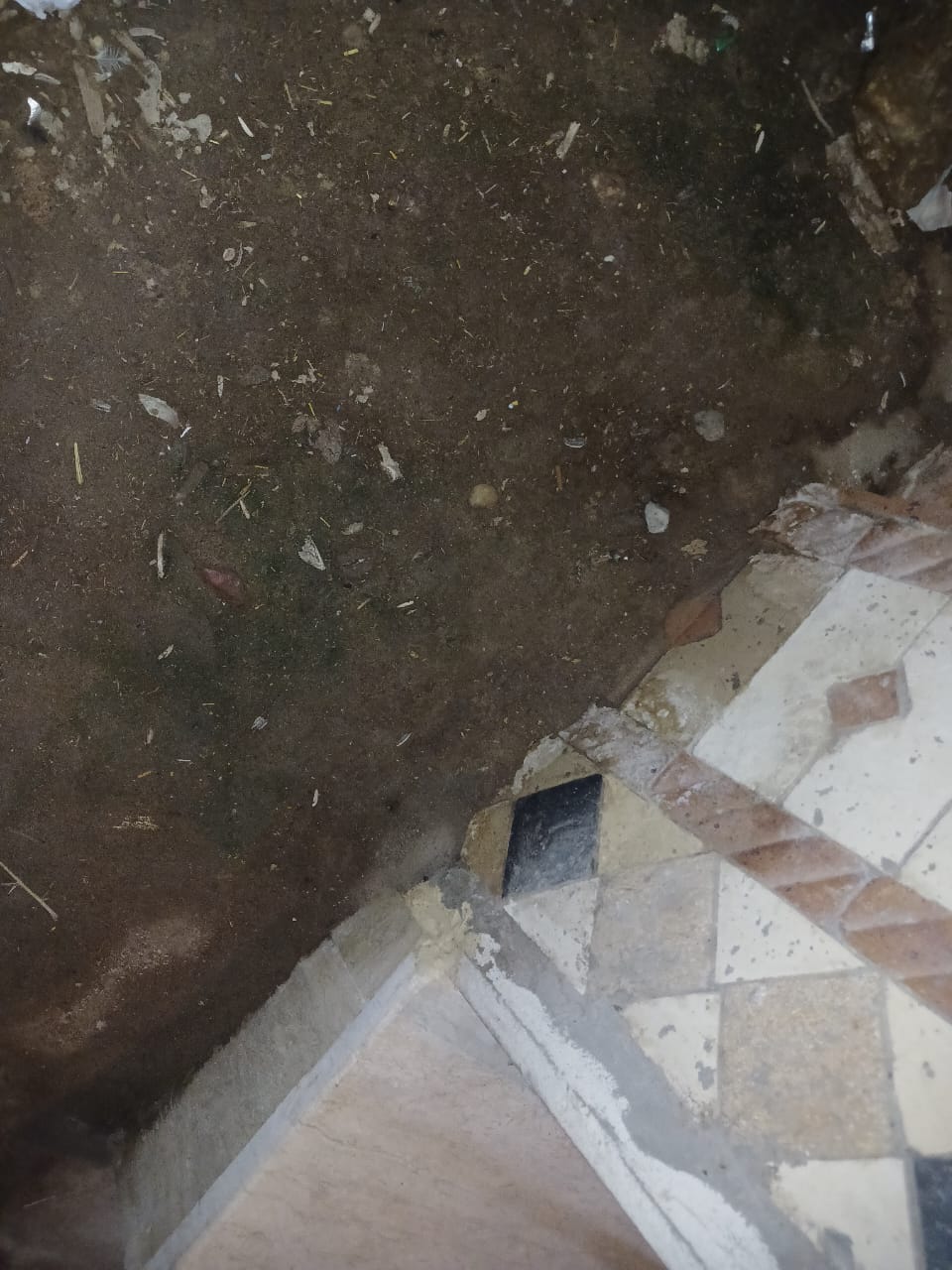 مياه الصرف في قرية دست الأشراف