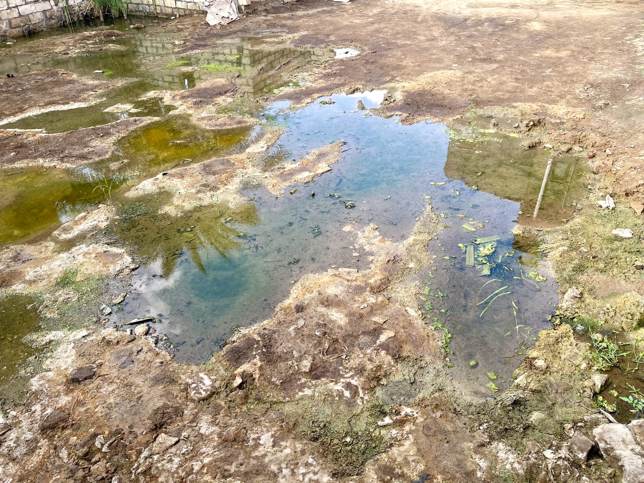 أزمة الصرف الصحى فى قرية دست الأشراف بالبحيرة