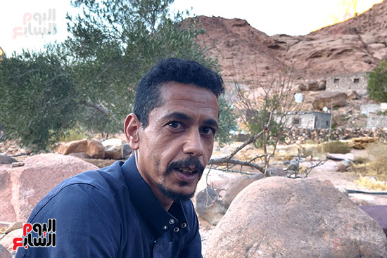 لفنان-منصور-الجبالي