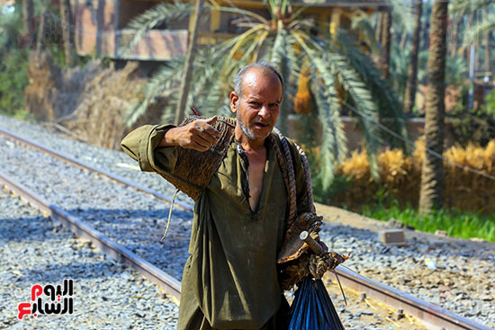 عامل تقطيع البلح