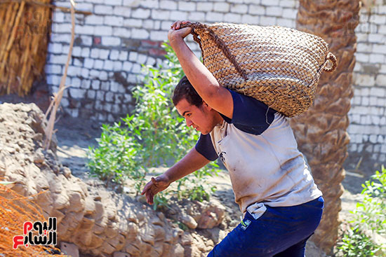 عامل ينقل البلح