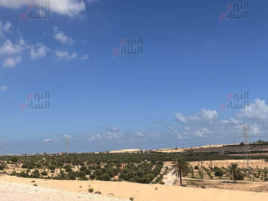 مساحات-خضراء