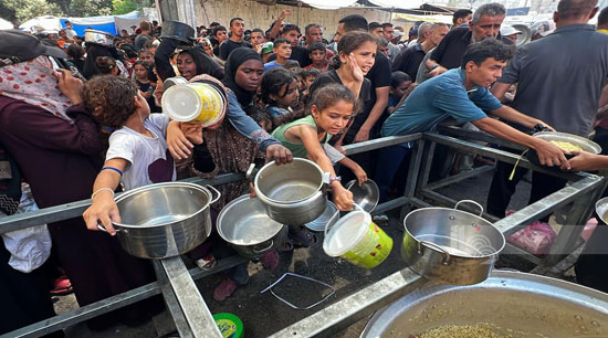 محاولات الحصول على الطعام محاولات الحصول على الطعام