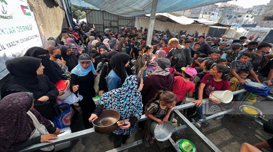 مشاهد قاسية للحصول على الطعام مشاهد قاسية للحصول على الطعام