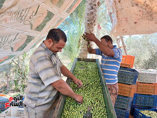 مراحل-التنقية مراحل-التنقية